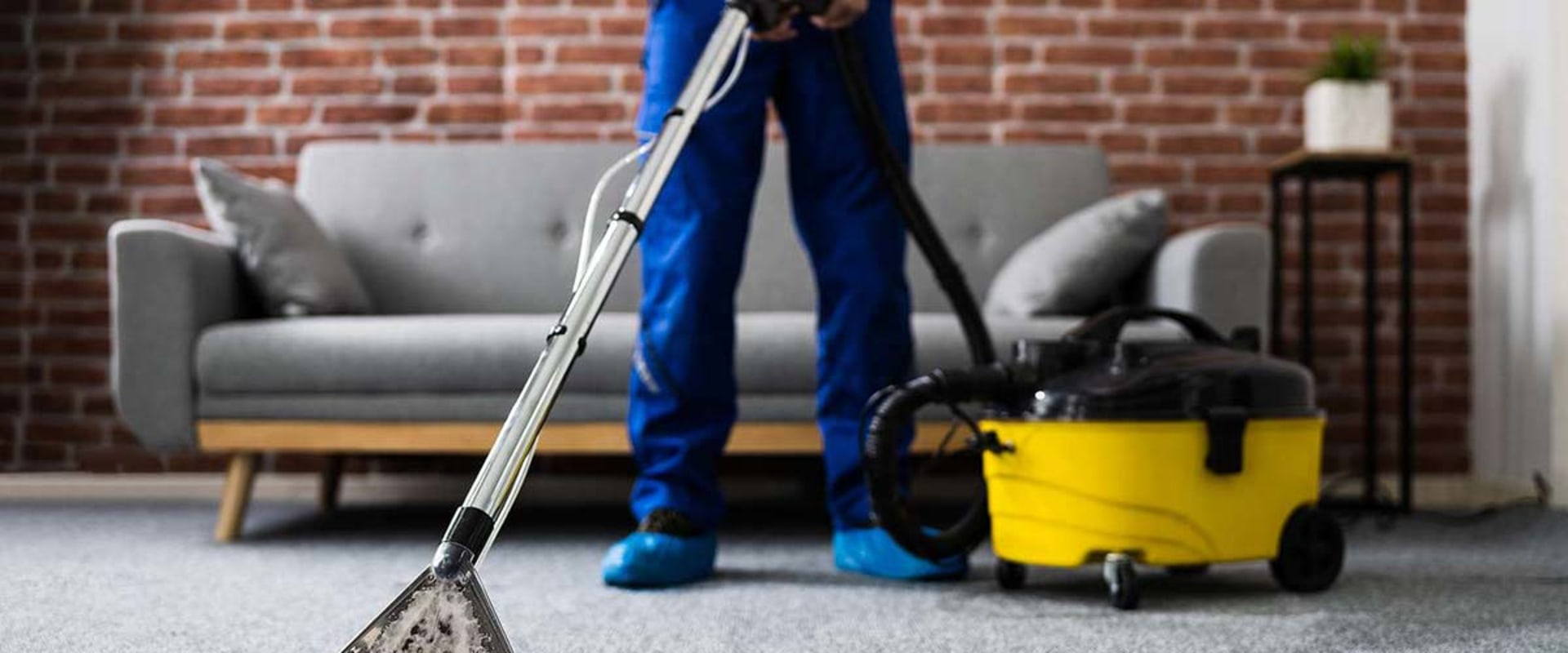 What is the profit margin for carpet cleaning business?