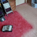 The Importance of Proper Drying After Carpet Cleaning