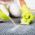 The Power of Professional Carpet Cleaning and Stain Removal Services