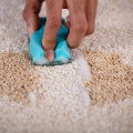 Can professional carpet cleaning remove stains?