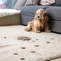 What is the best way to remove pet stains from carpets?
