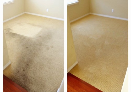 The Importance of Regular Professional Carpet Cleaning