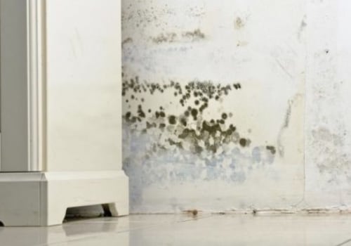 The Truth About Lysol Spray and Mold in Carpets
