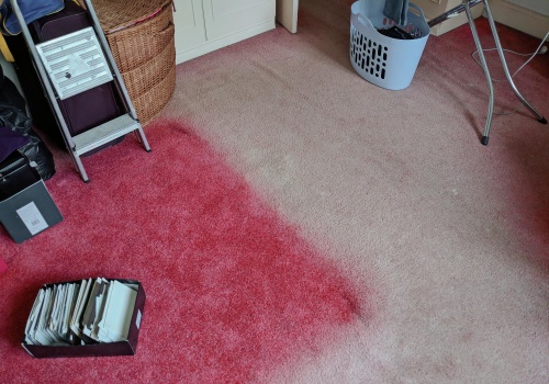 The Importance of Proper Drying After Carpet Cleaning