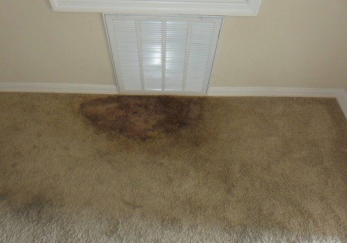 How to Effectively Remove Mold and Mildew from Your Carpet