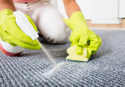 The Power of Professional Carpet Cleaning and Stain Removal Services